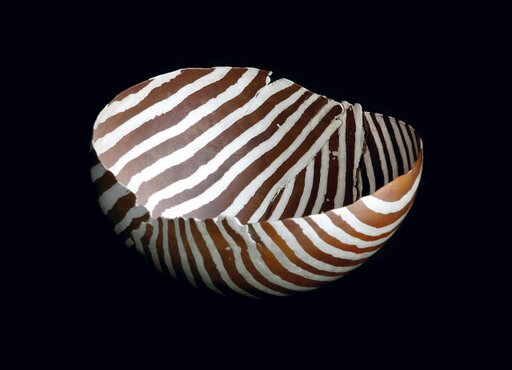 Galerie der Mokumegane Artisten